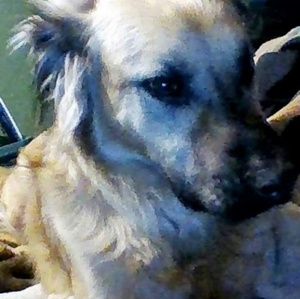 Meet your Posher, Brenda